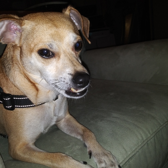 Give me a blank canvas and see what I can do! - Picture 2 of 3